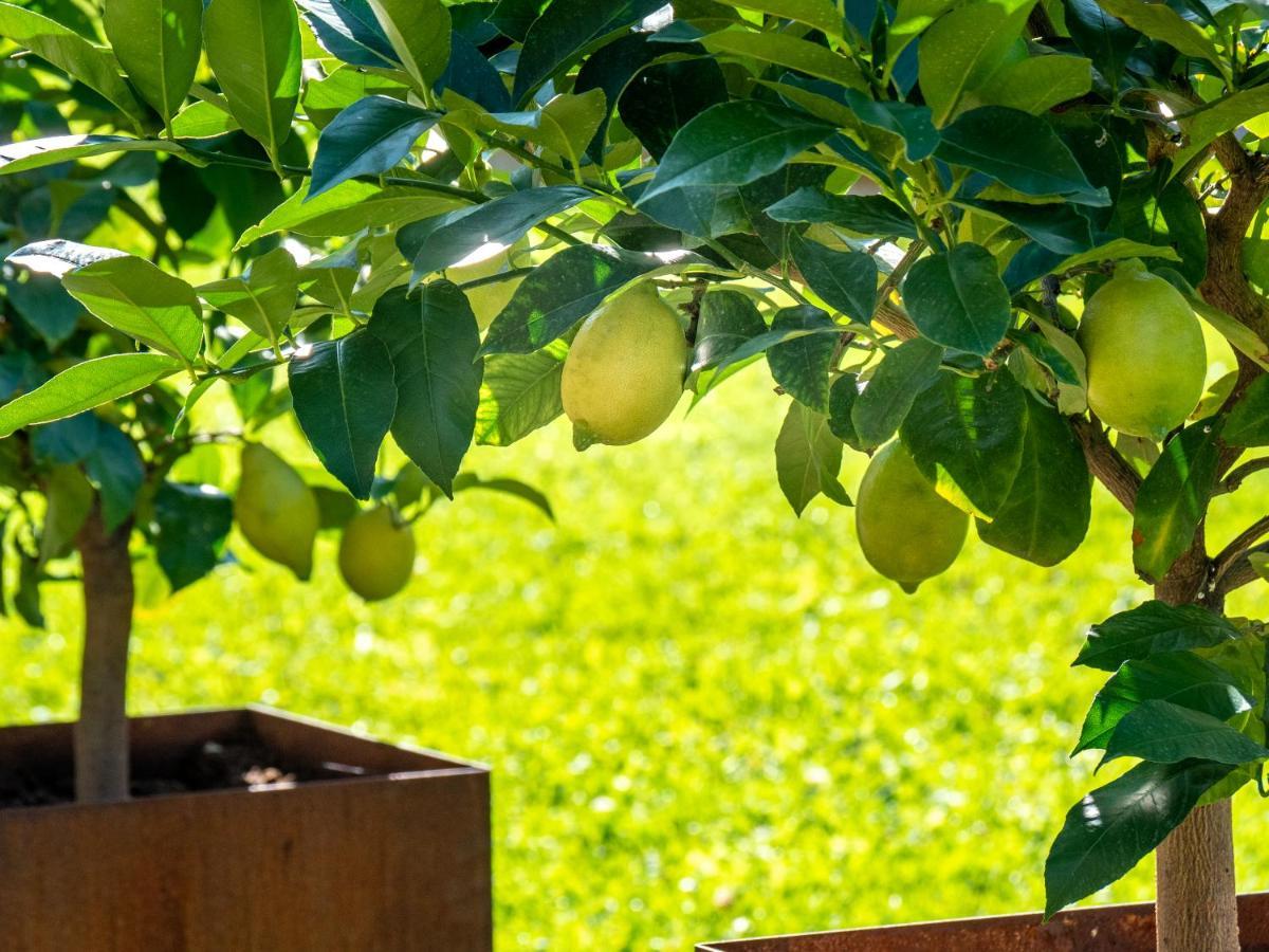 Gartenheim Tramin Termeno Exterior photo